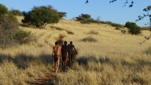Exploring the great Kalahari desert
