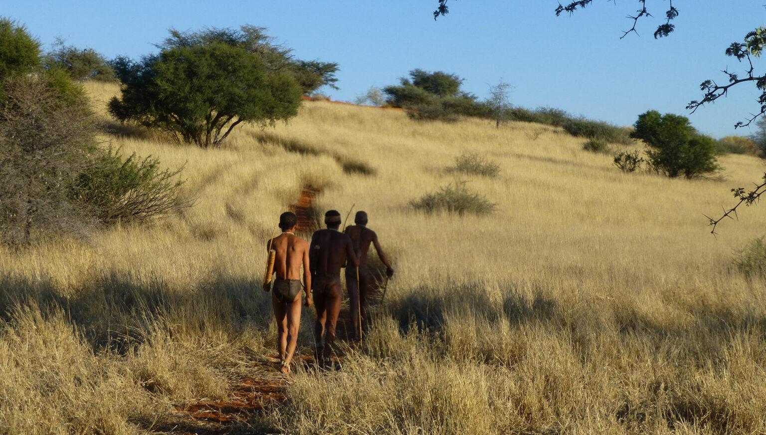 Exploring the great Kalahari desert