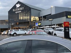 Blueberry Square